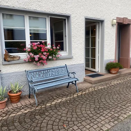 Kellerhof Im Zentrum Von Murg Lägenhet *